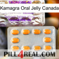 Kamagra Oral Jelly Canada new12